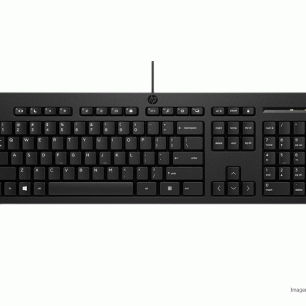 Teclado HP 125 G2 USB Negro AY2Y7AA#ABM