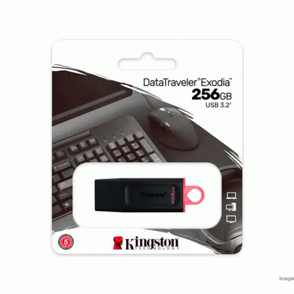 Memoria USB Kingston DataTraveler Exodia 256GB USB 3.2 Negro DTX/256GB