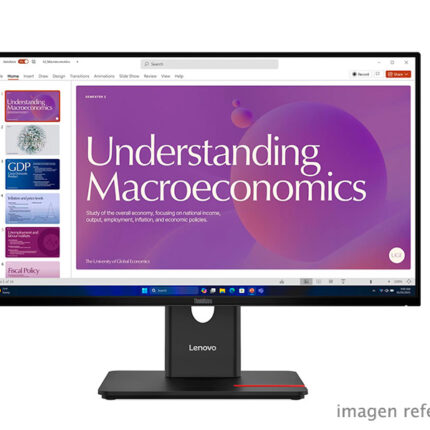 Monitor Lenovo ThinkVision T24D-40 23.8 pulgadas IPS Full HD 64B9GAR1LA
